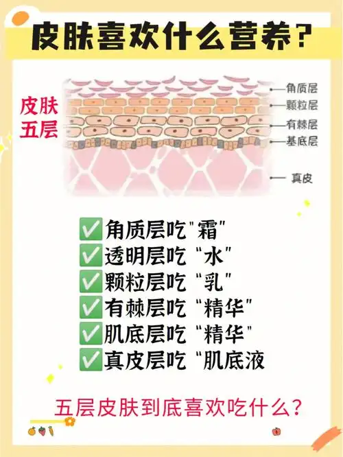 97皮肤分为表皮层(表皮层又分为5层)和真皮层.