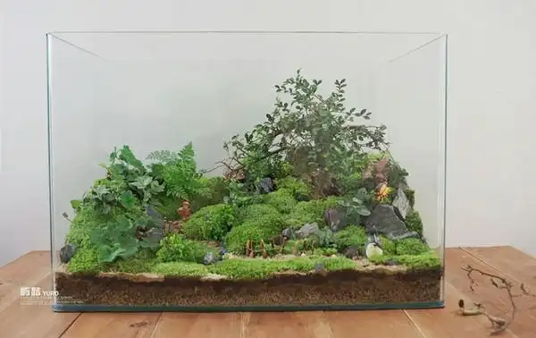 微景观生态瓶悄然流行_国内动态|园林动态_中国风景园林网|中国风景