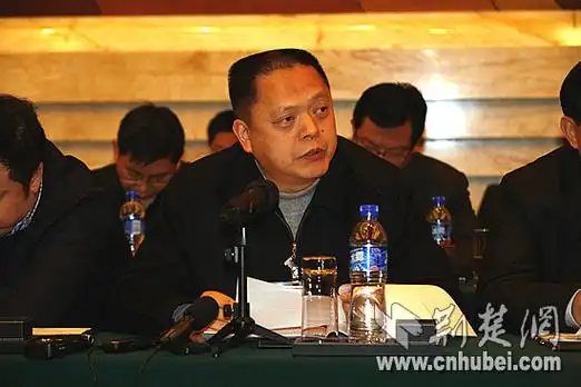 张林:复兴黄金水道打造中国经济"第四极"