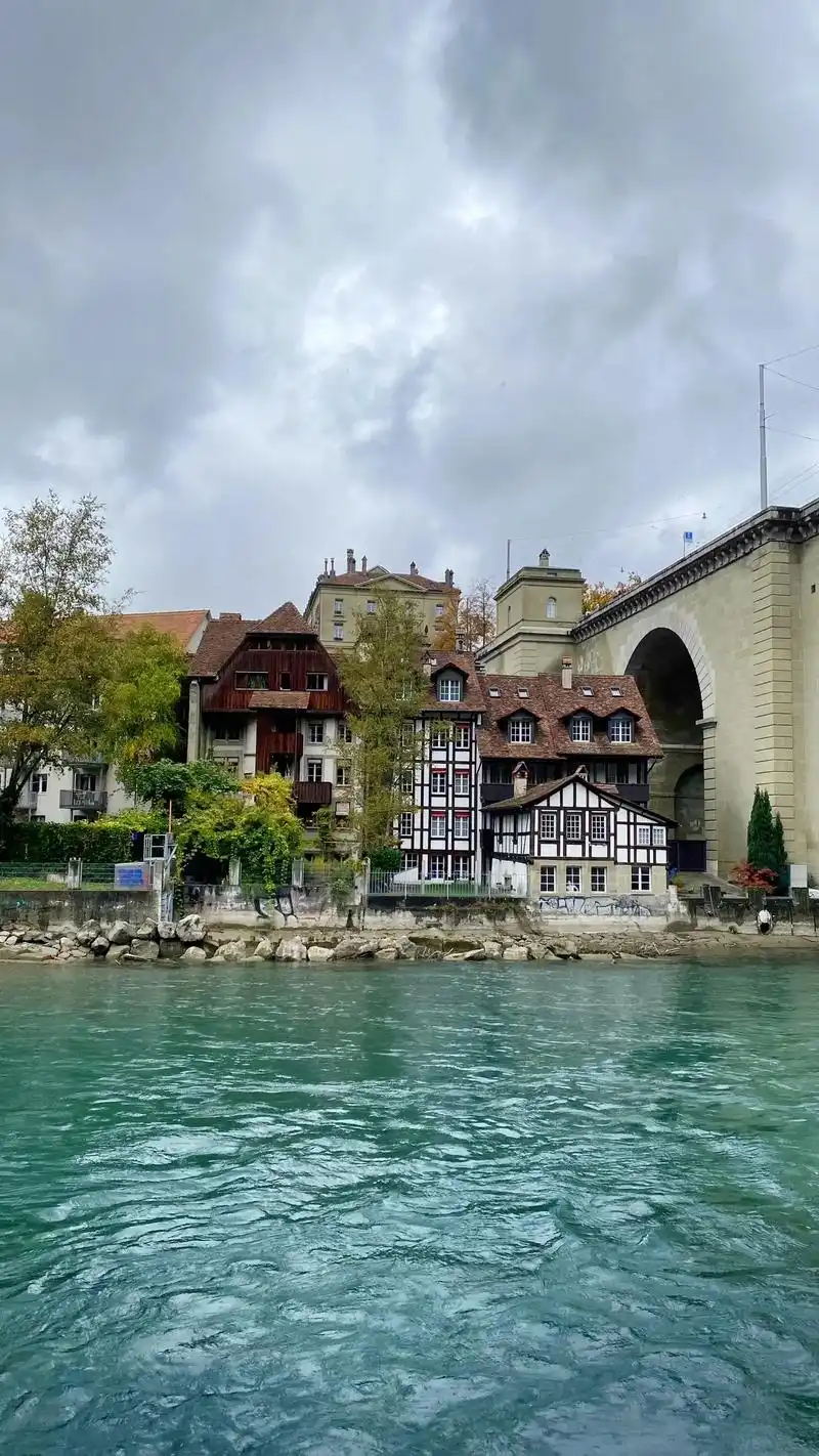 瑞士9893首都伯尔尼.熊城,有着3只棕熊生活在伯尔尼老城区 - 抖音