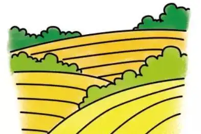 麦田简笔画步骤图解