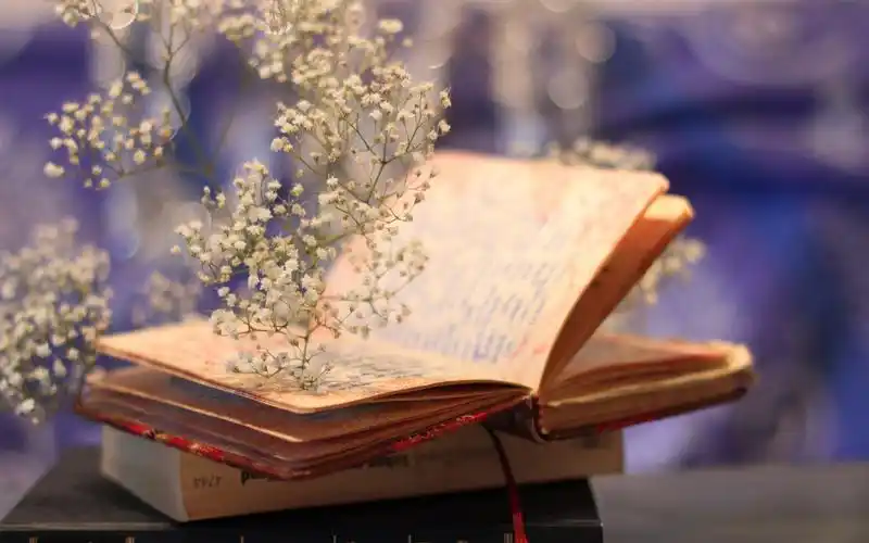 唯美小清新岁月静好治愈系书籍高清桌面壁纸(1)