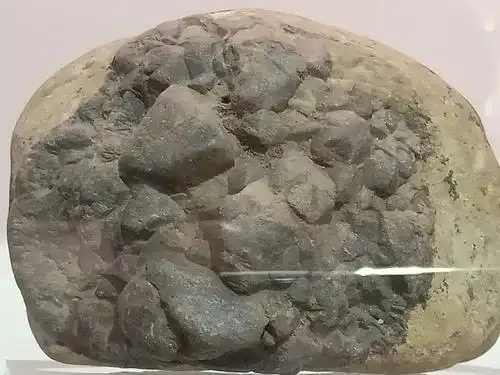 老骥游学(二一 一)长安大学地质博物馆