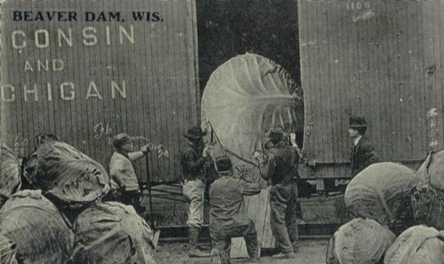 原创百年前美国大跃进时的浮夸风一颗土豆上千斤兔子比人还大