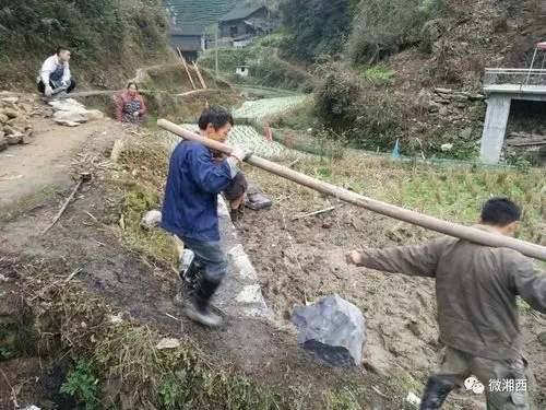越大的石头抬起来越起劲,一个人抬不起两个人一起来