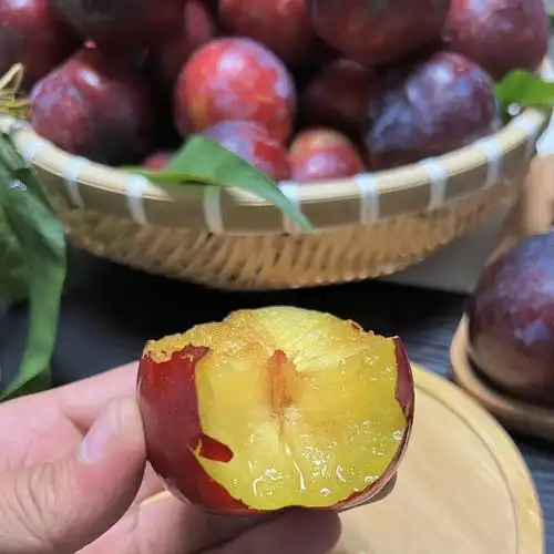 新鲜水果酸甜黑布林李子非安哥诺大红袍香蕉脱骨李包邮 东北大李子