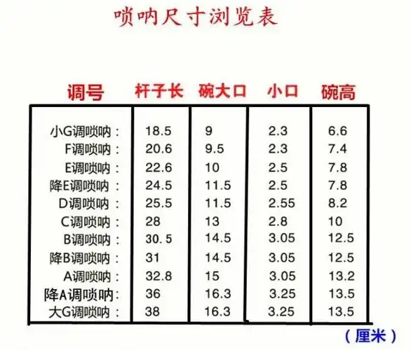 燕京红木唢呐初学者乐器大g降b 升c d e e小g f调送哨片盒配件