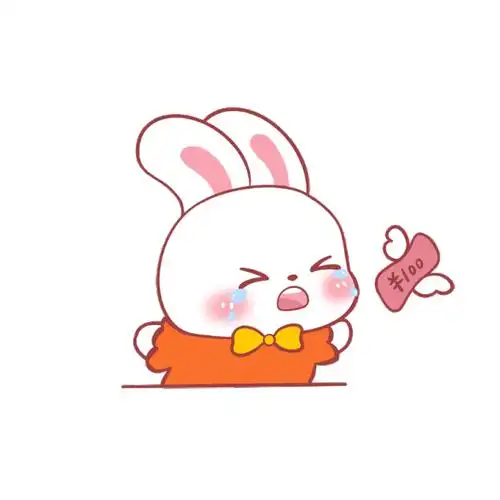 可爱兔子哭泣钱都飞走了表情包