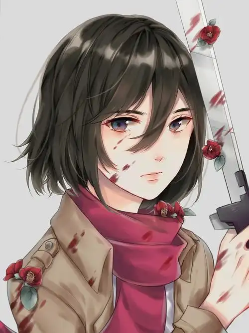 收集三笠好看的图