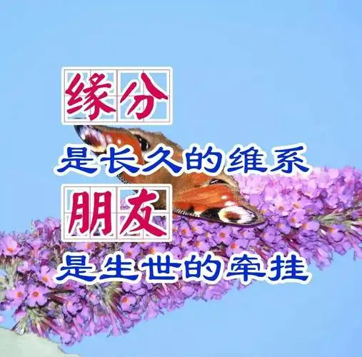 真诚相待的每位朋友,珍惜这一生!