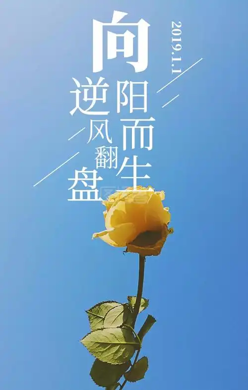 向日葵向阳日签