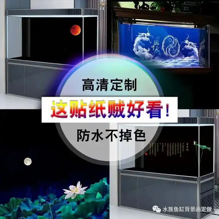 鱼缸背景 #龟缸背景 #疫情早点结束 #晒台  有喜欢的款 - 抖音