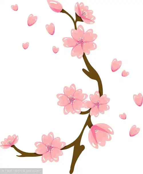 卡通樱花春花