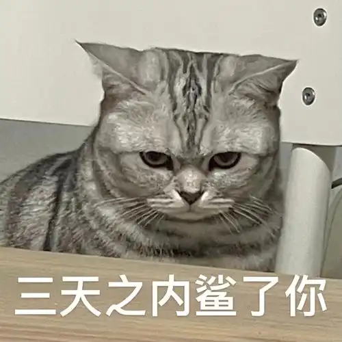 这么油腻真的是小母猫吗