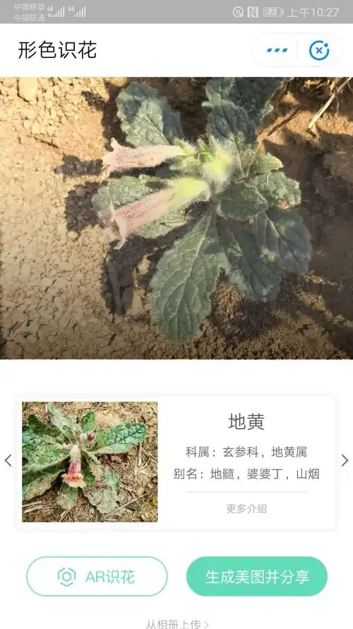 据说有清热解凉,解毒消肿的功效. 竹叶生地黄粥.