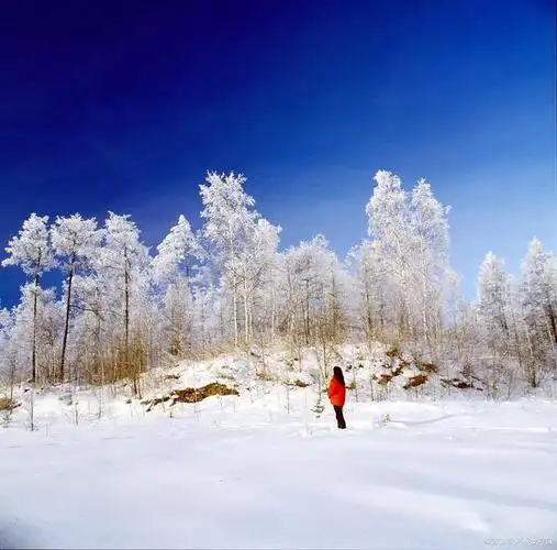 中国最冷小镇大兴安岭呼中区迎来今秋第一场雪,开启童话模式