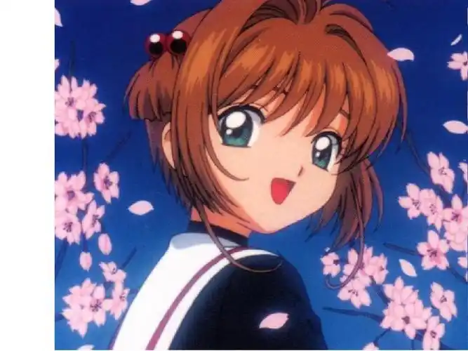 百变小樱图片集ppt