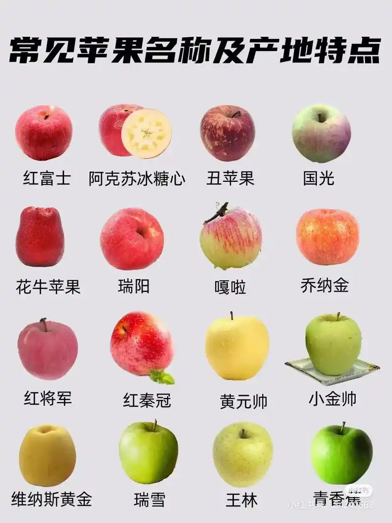 令人惊艳的本土水果之苹果.