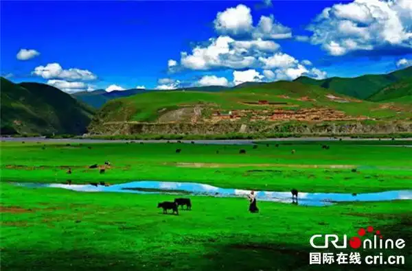 图片默认标题_fororder_4,阿须草原风光-甘孜州旅游发展委员会-供图