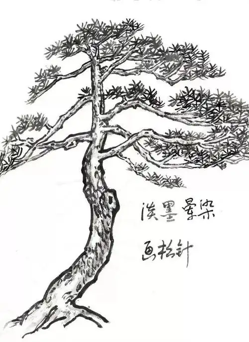 国画入门:松树,松叶的画法