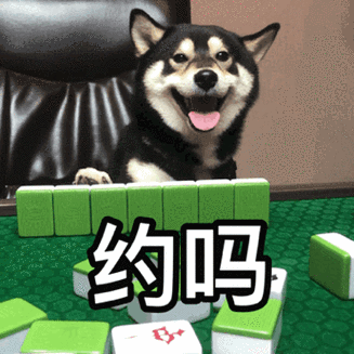 萌宠gif汪星人gif约吗gif打麻将gif搞怪gif呆萌gif