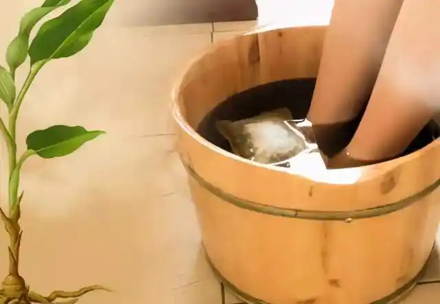 中药泡脚胜吃补药秋季泡脚方养血安神祛湿散寒活血补肾