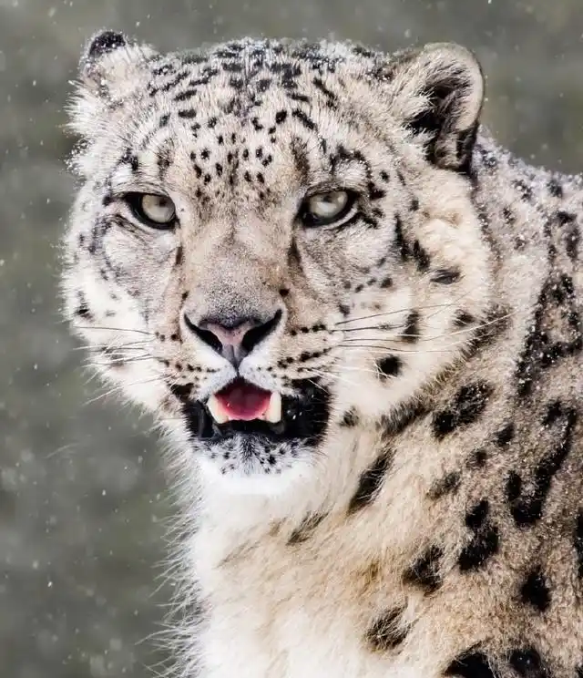 泼墨挥毫可比不上大自然形成的美