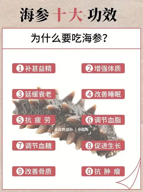 海参166066大功效你都清楚吗