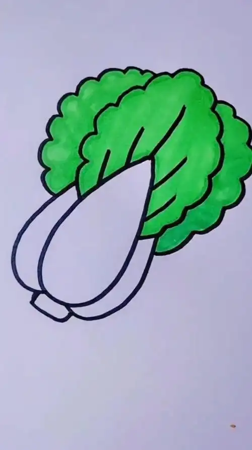 简单几笔画好一棵白菜,简笔画-度小视