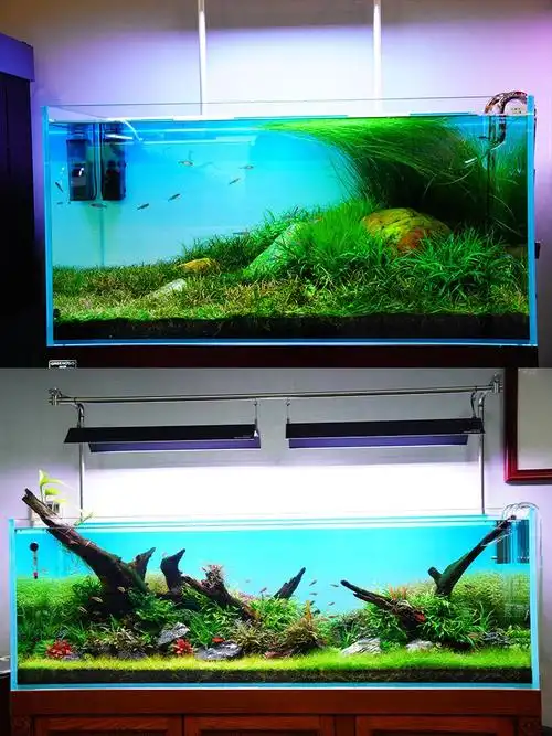 鱼缸背景贴纸100x60cm【图片 价格 品牌 报价】-京东