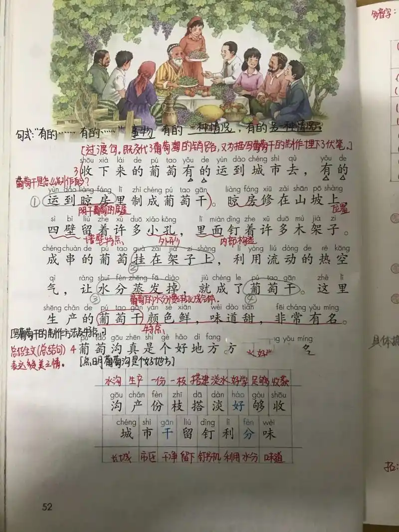 二年级上册语文 11《葡萄沟》 课文主要介绍了新疆吐鲁番的葡萄沟是个