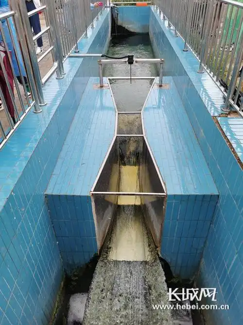 【甘肃生态环保行】这家污水处理厂排放水质能养鱼