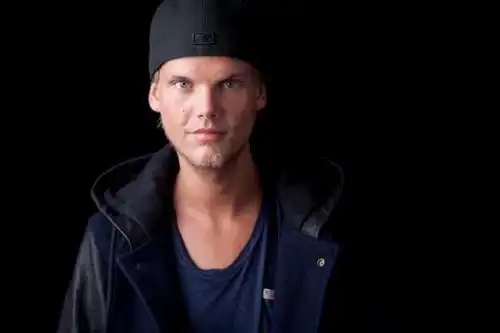 avicii fuses electronic music, country on debut