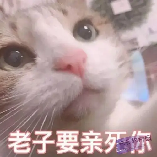 猫咪要抱抱表情包