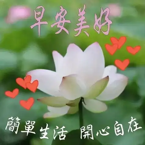 给长辈早上好祝福语优美句子(60岁以上的早上问候语) - 测八字网