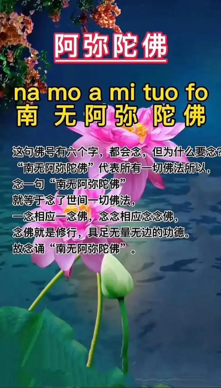 …南无阿弥陀佛🙏 🙏🙏您每次看见了就念一