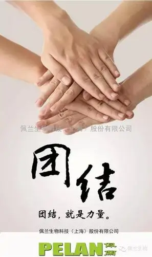 人心齐泰山移,佩兰给您阐述团结的力量