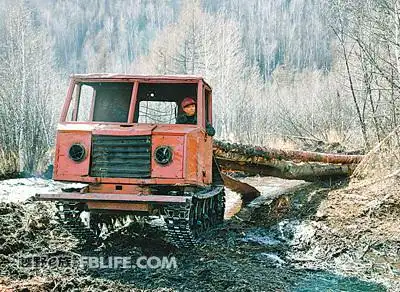 越野利器--t-50集材拖拉机(林业局的tank)