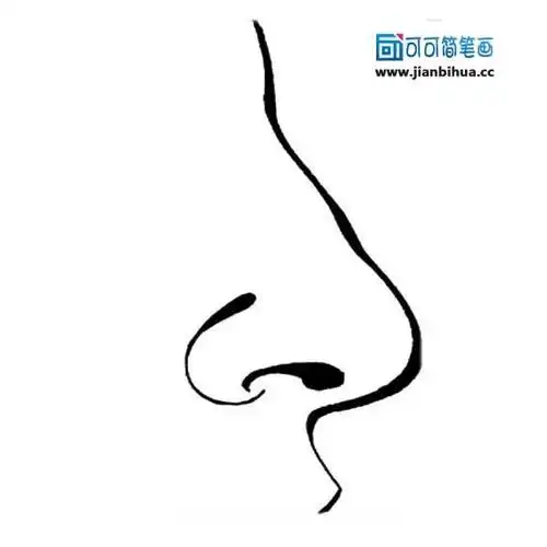 五官鼻子简笔画