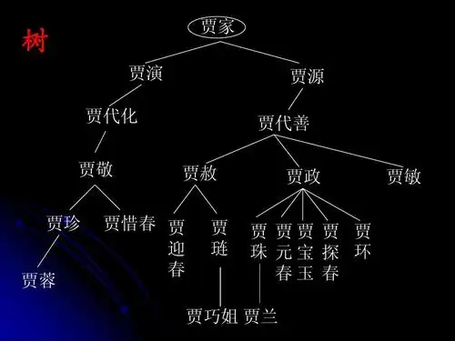 红楼梦贾氏家谱图ppt