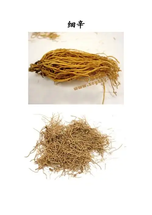 280味中药图(根与根茎类一).doc