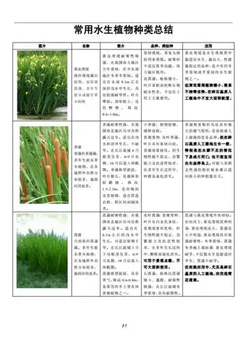 page 1  / numpages4 常用水生植物种类总结 图片 名称 简介 品种
