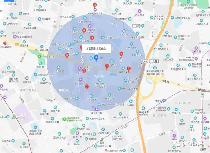 据龙华区教育局公布的《2020年秋季公办学校招生范围》,小学处于行知