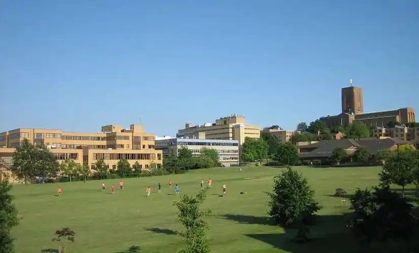 萨塞克斯大学