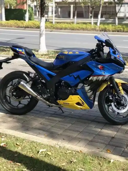 天上飞机7615地上r19315 73车型:国产雅马哈r1m 排量: - 抖