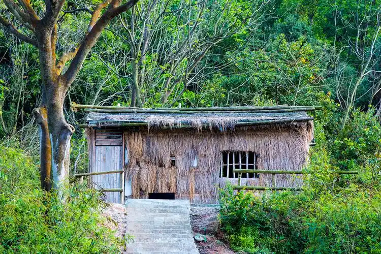 做一个武林大侠 潇潇洒洒走完这一生 然后寻一处山水佳地 一座茅草屋