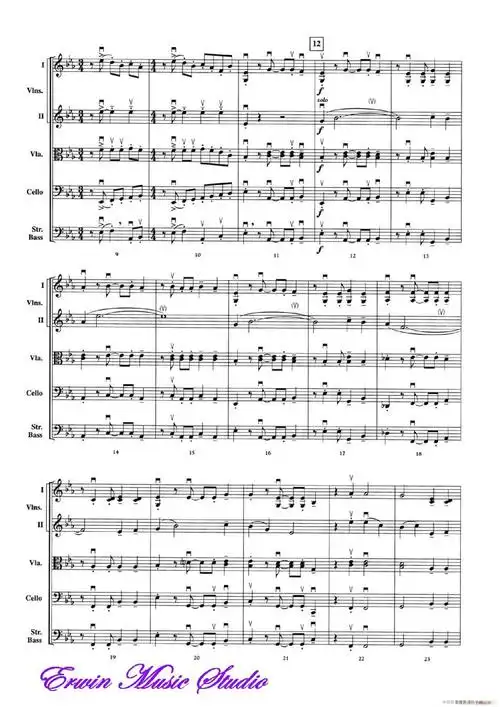 themagnificentseven弦乐五重奏