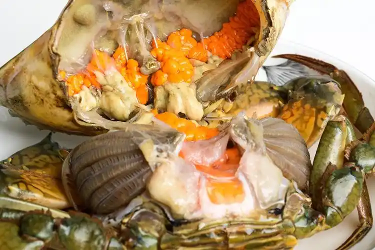 东山岛蟹超大红膏蟹鲜活特大野生红鲟新鲜到家青蟹