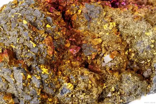 难处理金矿石之生物氧化