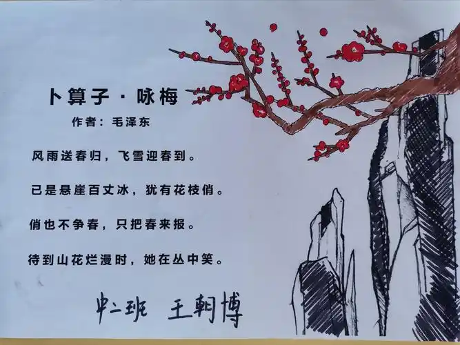 王朝博———《卜算子 咏梅》